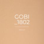 Papier de Création Gobi Color 1802