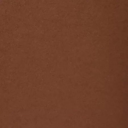 brownie color 1802 Procop