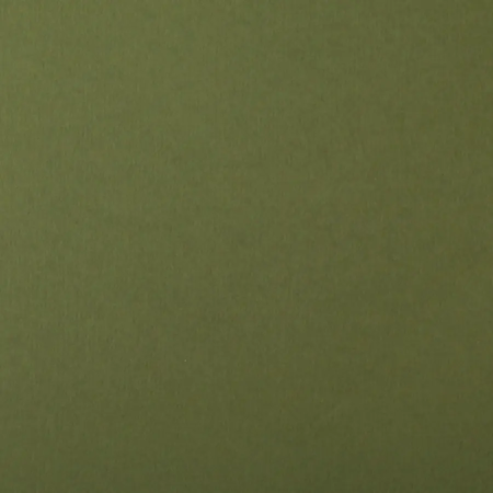 Mid Green _ Colorplan 