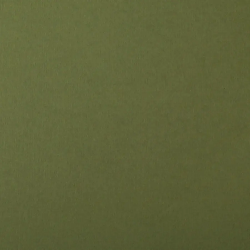 Mid Green _ Colorplan Mid Green _ Colorplan