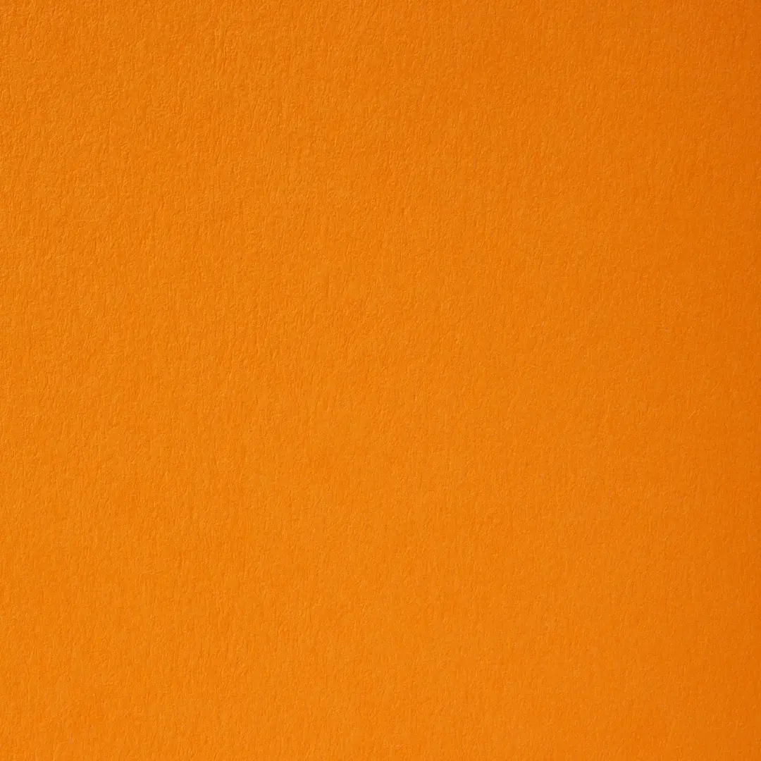 Papier Création | Florida | Color 1802 | Papiers Procop