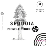 Sequoia Recyclé Rough HP | Hp Indigo | Procop