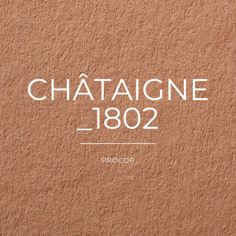 CHÂTAIGNE papier creation color 1802 FSC 100% Recyclé Procop couleur marron foncé-2 CHÂTAIGNE papier creation color 1802 FSC 100% Recyclé Procop couleur marron foncé-2