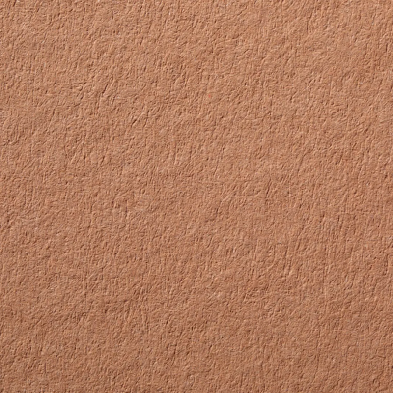 CHÂTAIGNE papier creation color 1802 FSC 100% Recyclé Procop couleur marron foncé