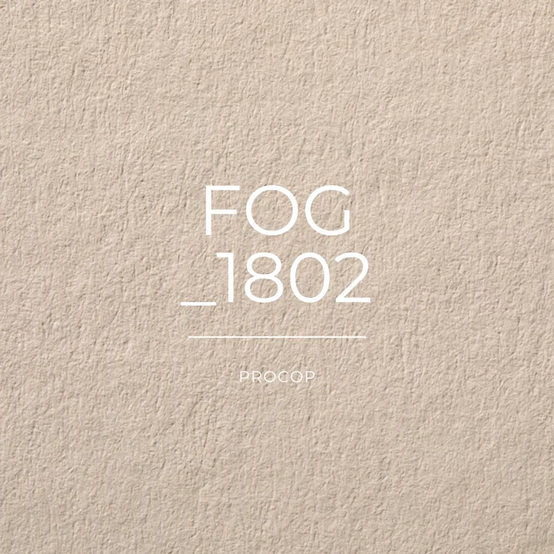 Fog | Color 1802 | FSC 100% Recyclé | Papiers Procop
