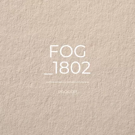 FOG papier creation color 1802 FSC 100% Recyclé Procop couleur gris clair