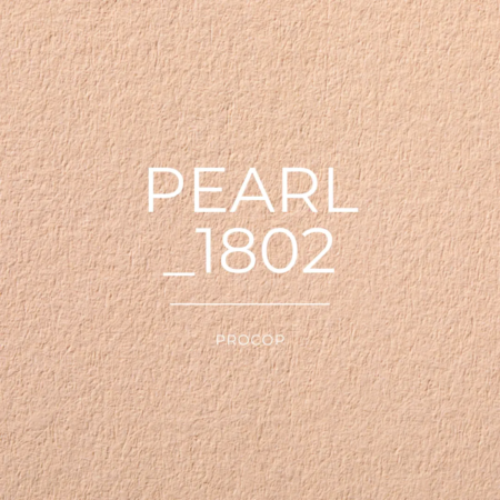 PEARL papier creation color 1802 FSC 100% Recyclé Procop couleur beige