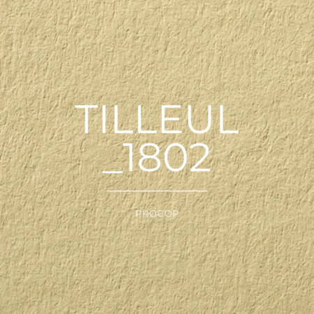 Tilleul papier creation color 1802 FSC 100% Recyclé Procop couleur vert