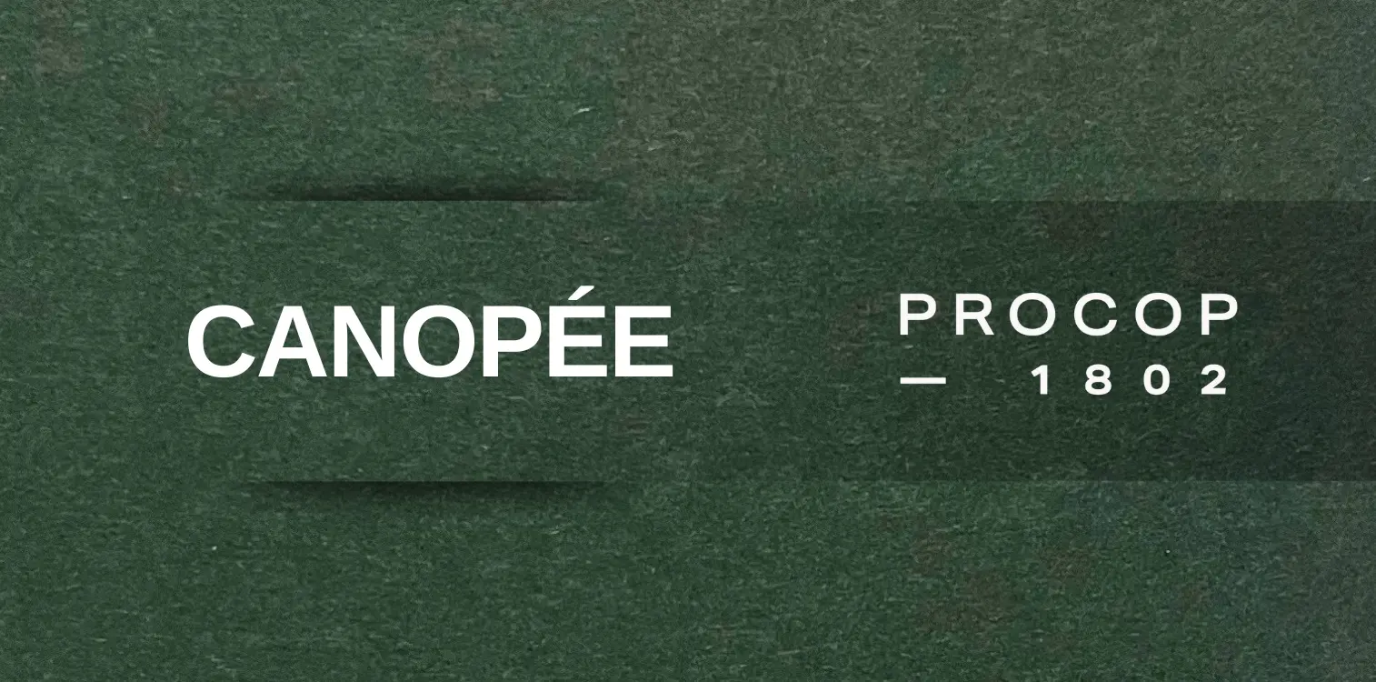 CANOPÉE PROCOP COLOR 1802 PAPIER CRÉATION