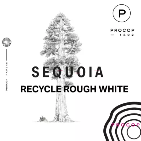 Sequoia Recyclé Rough White