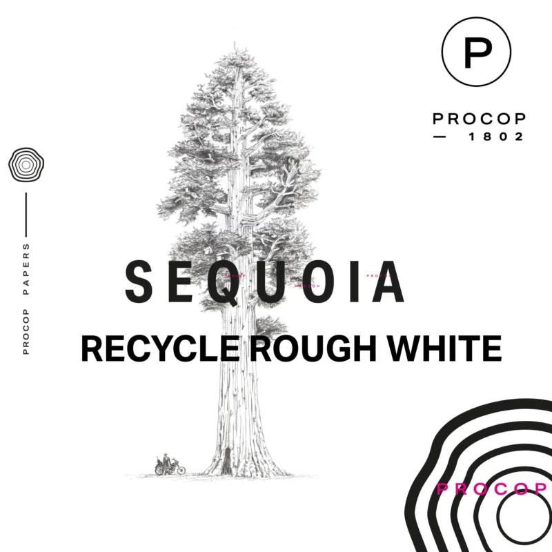 Sequoia Recyclé Rough White